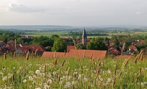 Worte finden in Zeiten der Trauer