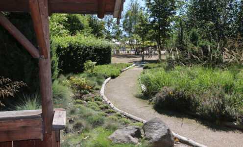 Nature Writing