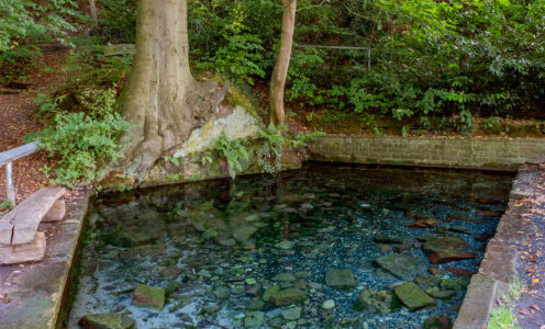 Nature Writing – Mariaspring